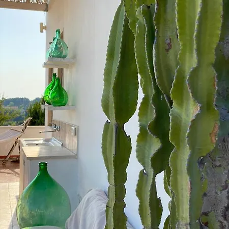 Alba Puglia - Experience Authentic Puglian Bliss